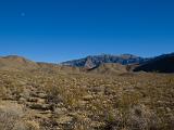 Death Valley 002 : Vermont Canoe Spring